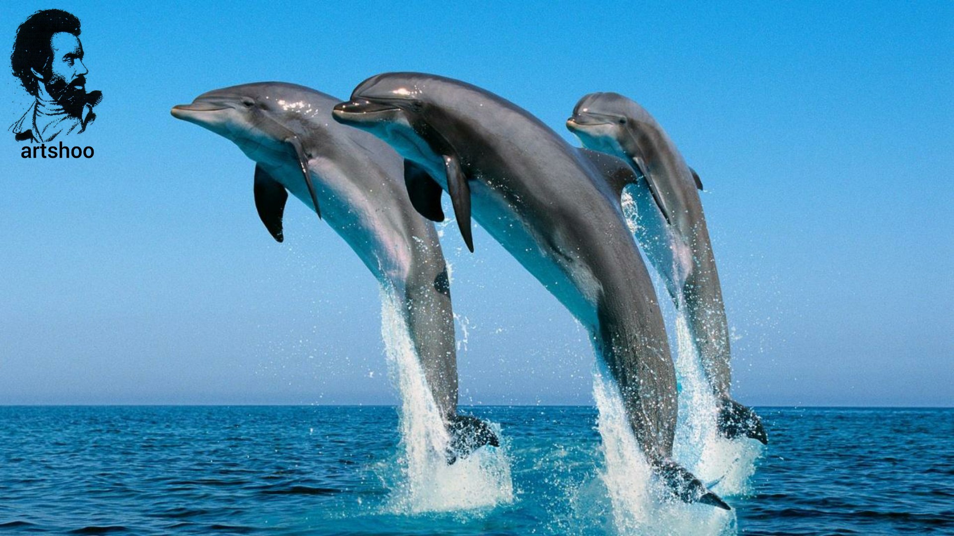 مدل رنگ روغن آب اورژینال